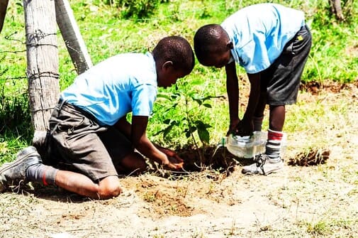 Tree planting2s (1)